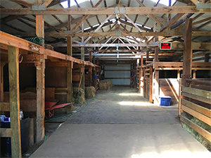 Barn with Stalls Lake and Pines Ranch, Stillwater horse boarding